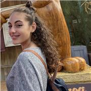 Doy clases económicas de Catalán, Castellano y matemáticas